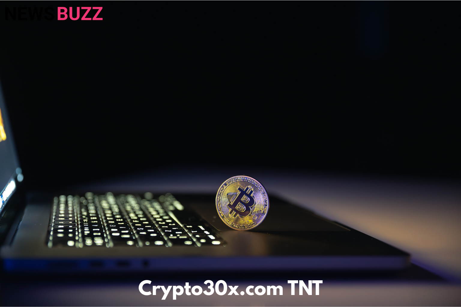 Crypto30x.com TNT