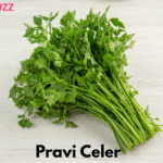 Pravi Celer